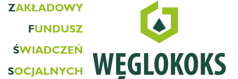 WĘGLOKOKS_ZFSS